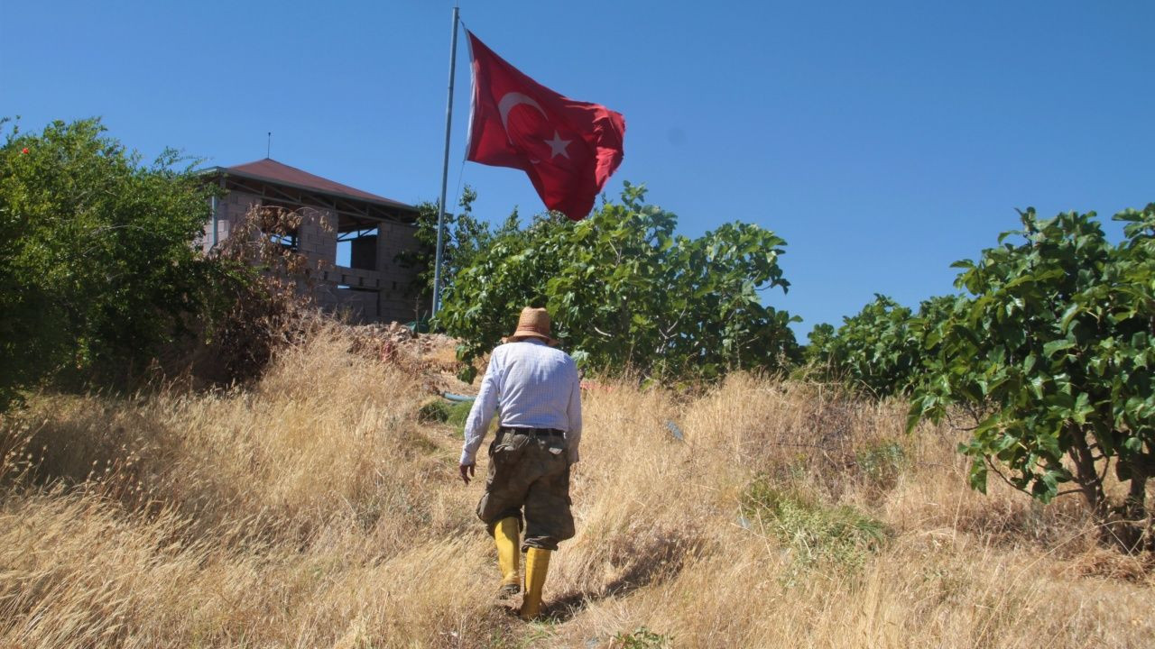 Adada tek başına yaşıyor! - Sayfa 16