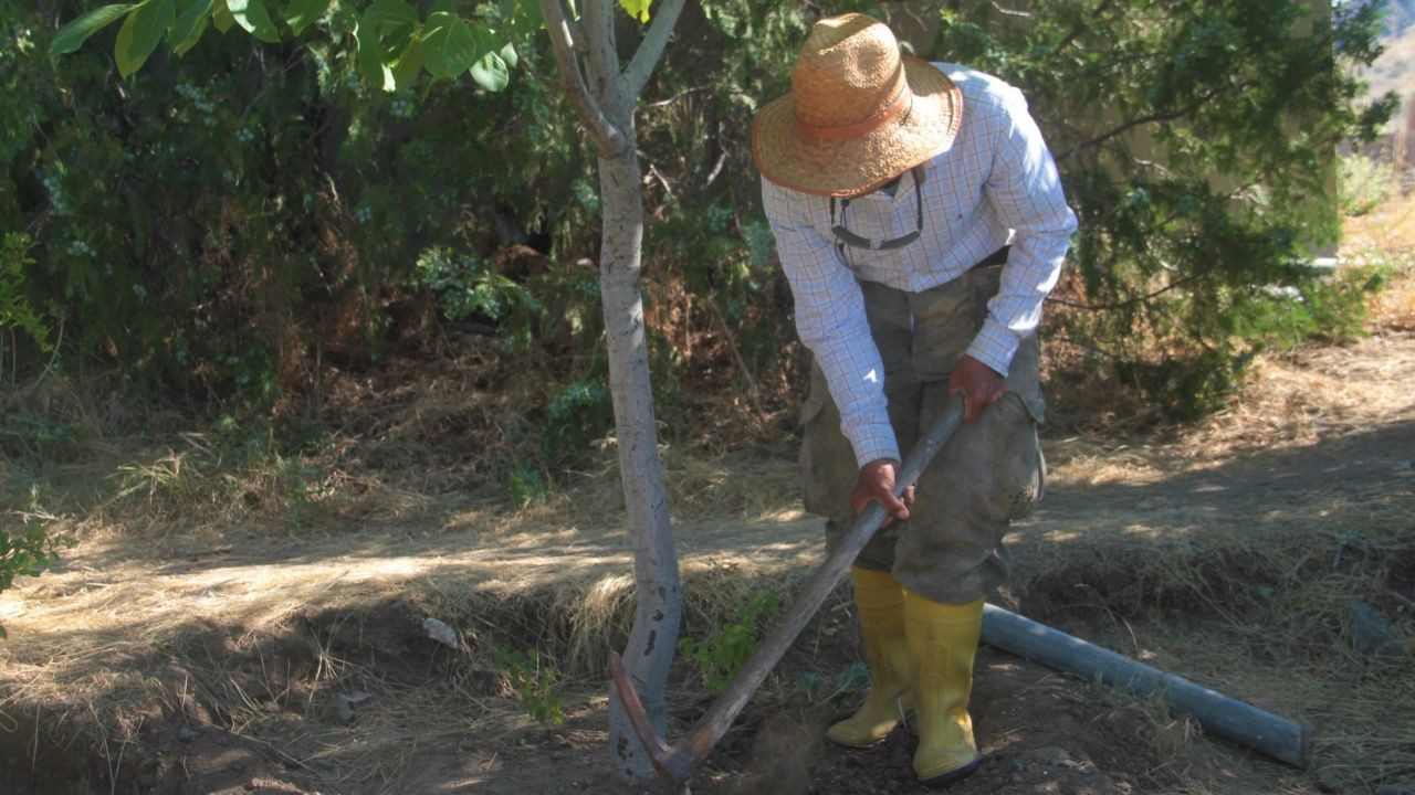 Adada tek başına yaşıyor! - Sayfa 7