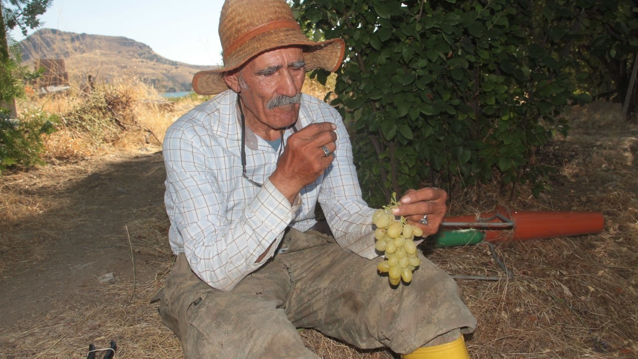 Adada tek başına yaşıyor! - Sayfa 14