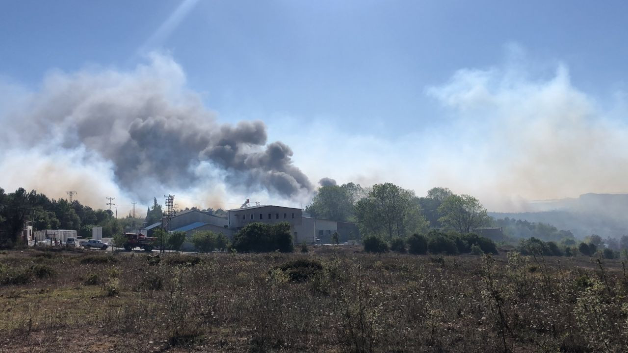 Gebze'de ormanda başlayan yangın fabrikaya sıçradı! - Sayfa 12
