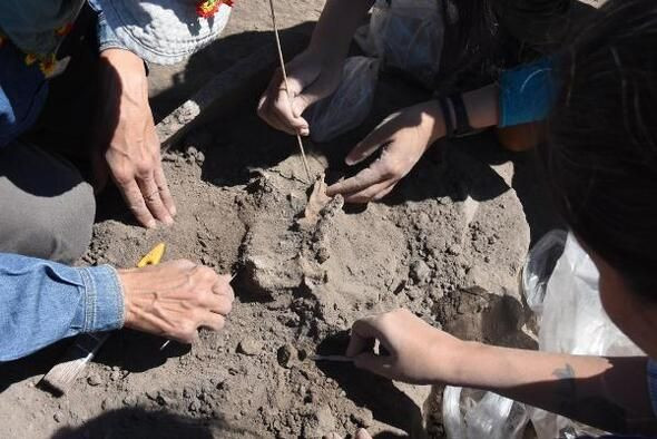 5 bin yıllık şehir ve iskeletler bulundu! - Sayfa 27