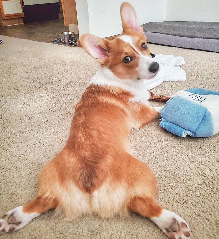 Gündelik yaşamdan 21 şaşırtıcı gerçek! - Sayfa 10