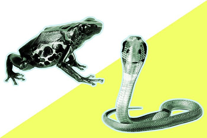 Gündelik yaşamdan 21 şaşırtıcı gerçek! - Sayfa 21