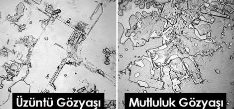 Gündelik yaşamdan 21 şaşırtıcı gerçek! - Sayfa 18
