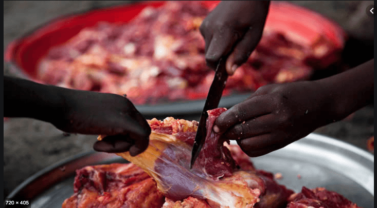 Uzman isimden 'İnsan eti yiyin' önerisi! - Sayfa 7