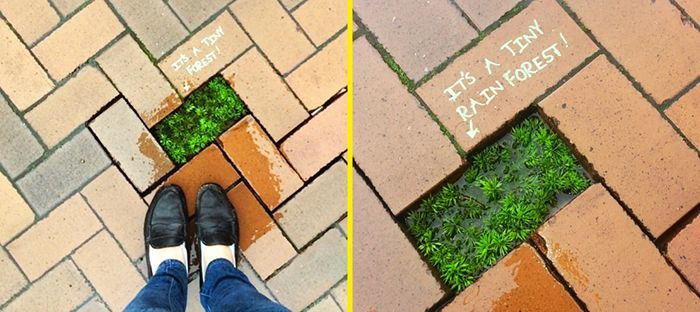 Birbirinden renkli sokak sanatları! - Sayfa 13