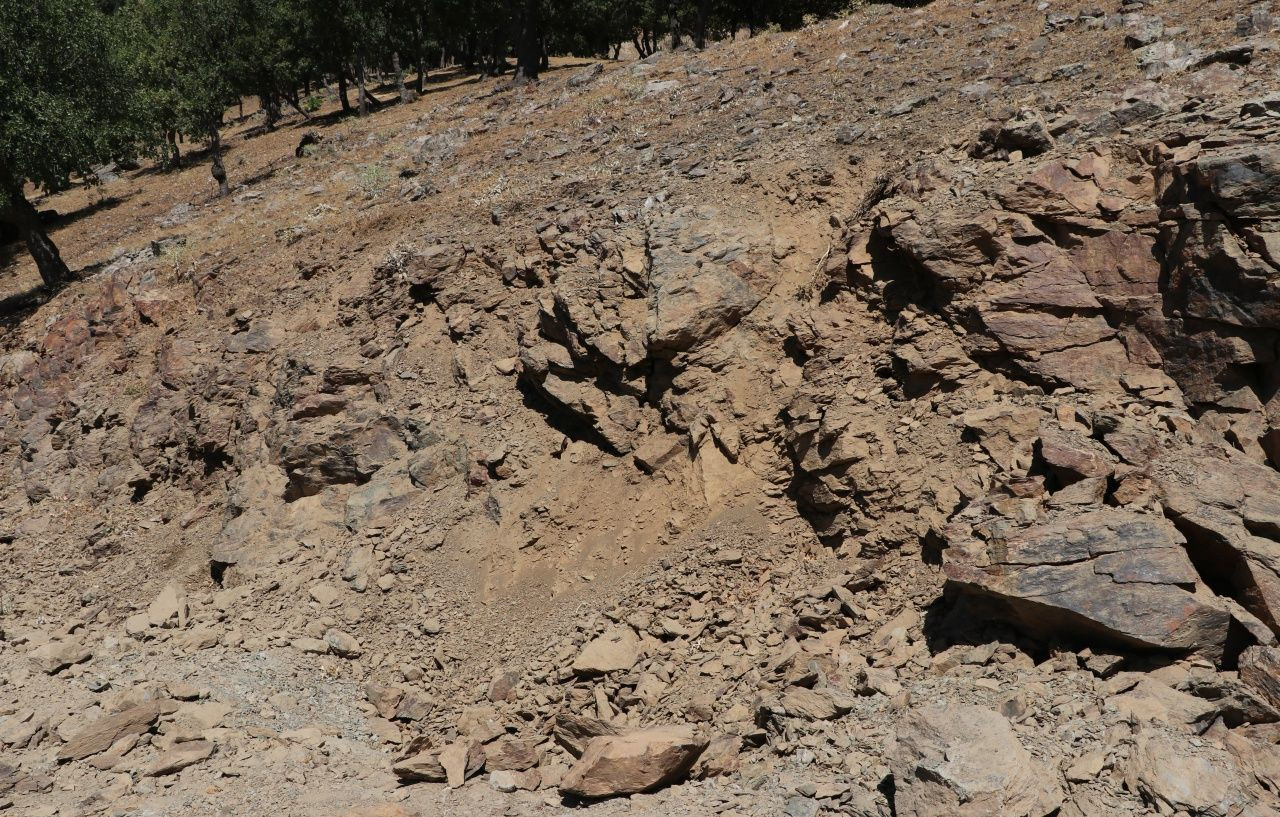 Diyarbakır'daki hain saldırının detayları! - Sayfa 7