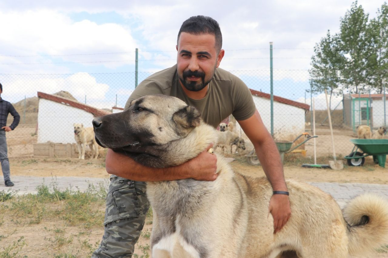 Kangallara terörle mücadelede kritik görev! - Sayfa 7