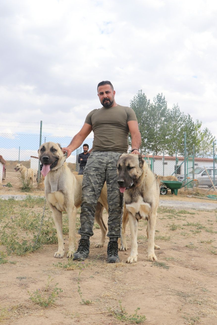 Kangallara terörle mücadelede kritik görev! - Sayfa 9