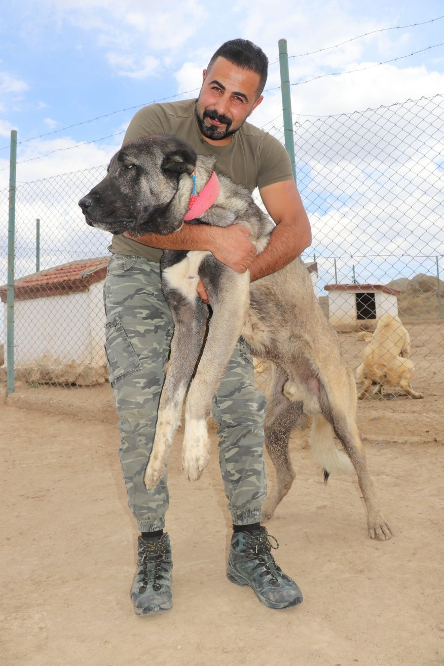 Kangallara terörle mücadelede kritik görev! - Sayfa 13