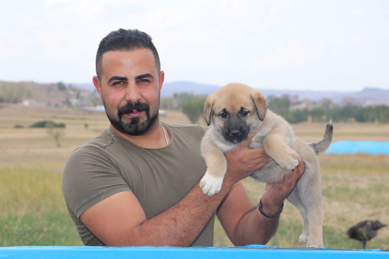 Kangallara terörle mücadelede kritik görev! - Sayfa 15