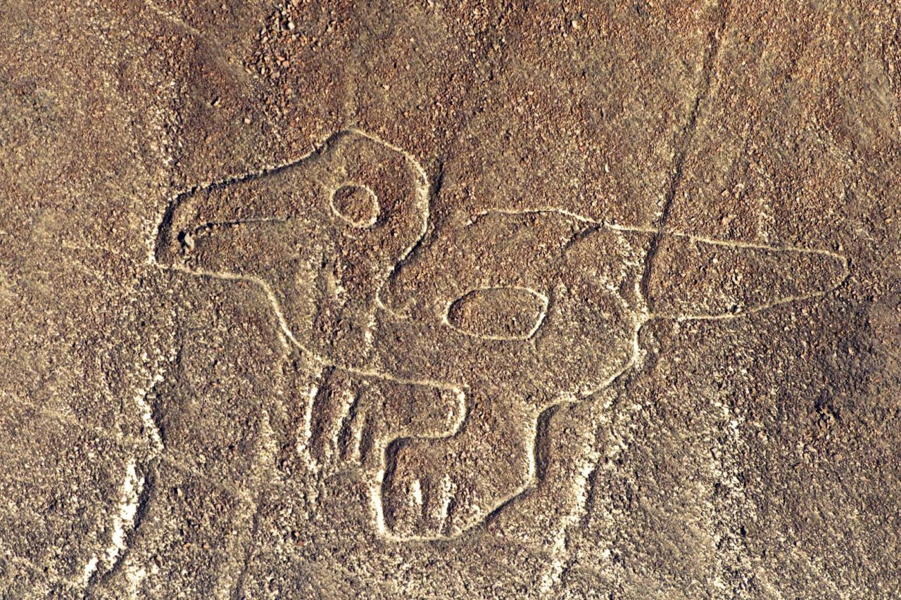 Gizemli çizgilerin sırrı 80 yıl sonra çözüldü! - Sayfa 9