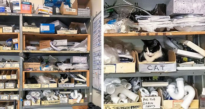 Dikkatli bakıldığına değişen fotoğraflar! - Sayfa 19