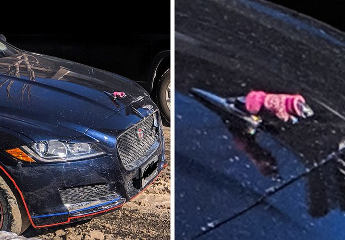 Dikkatli bakıldığına değişen fotoğraflar! - Sayfa 8