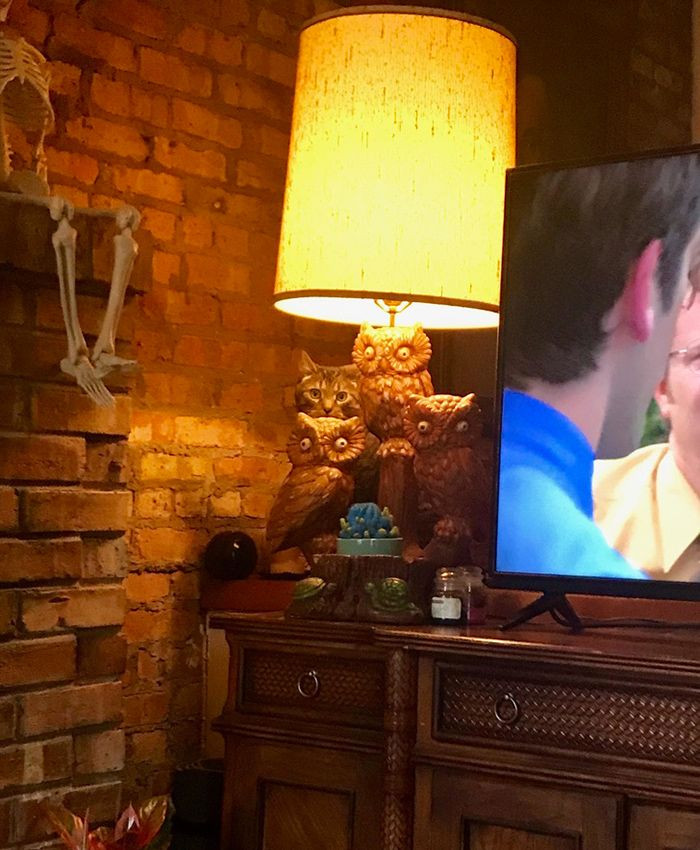 Dikkatli bakıldığına değişen fotoğraflar! - Sayfa 13