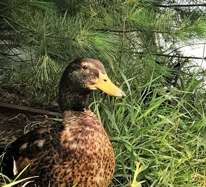 Dikkatli bakıldığına değişen fotoğraflar! - Sayfa 6