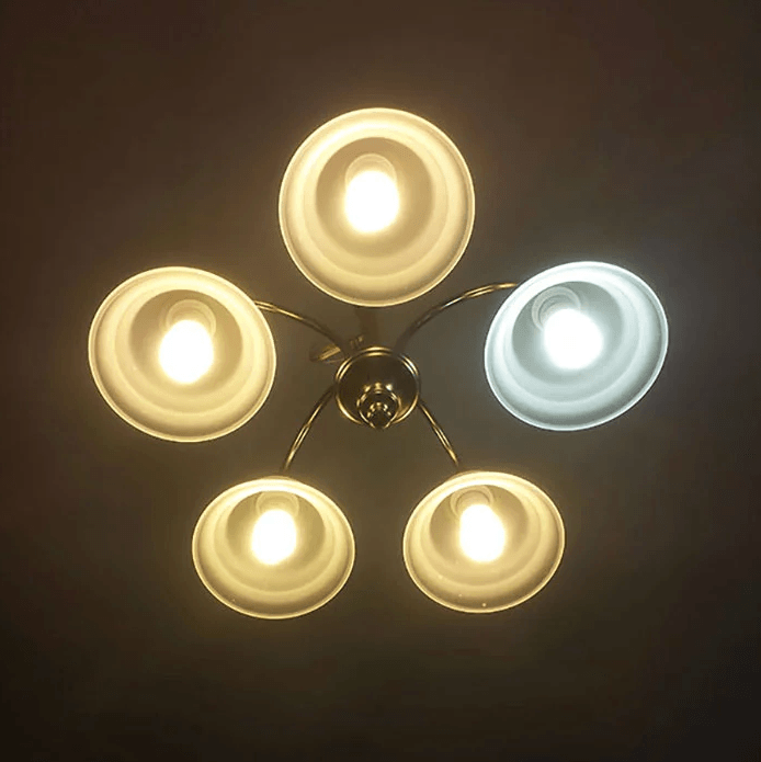 Baktıkça keyif kaçıran ilginç fotoğraflar! - Sayfa 9