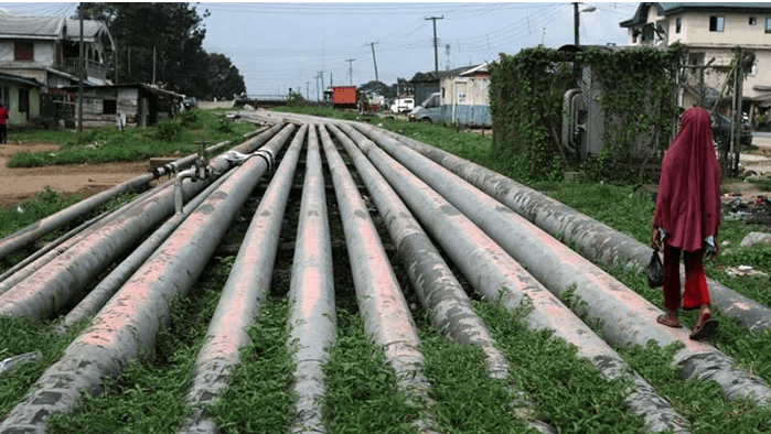 Bir ülkenin kaderini değiştiren balık! - Sayfa 13