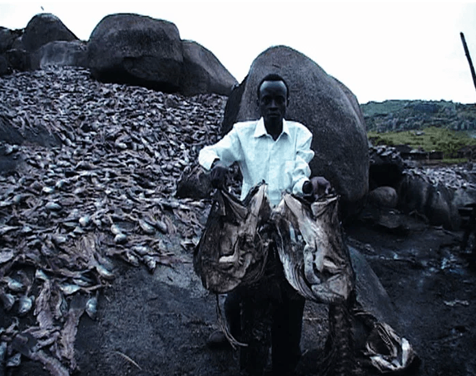 Bir ülkenin kaderini değiştiren balık! - Sayfa 11