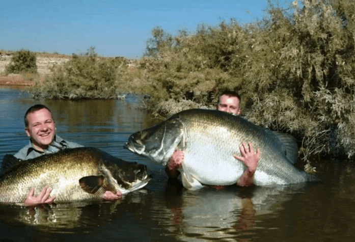 Bir ülkenin kaderini değiştiren balık! - Sayfa 16