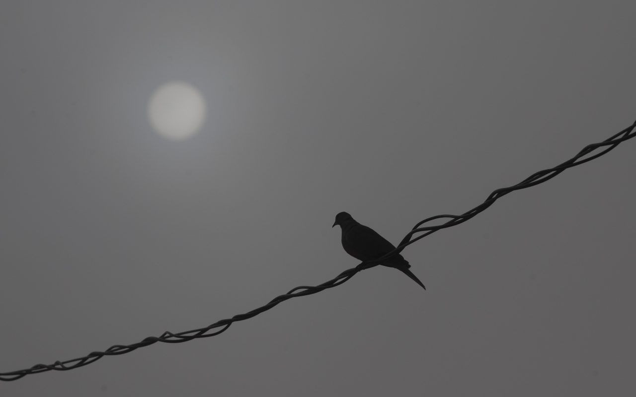 Sis Edirne'yi esir aldı! - Sayfa 5