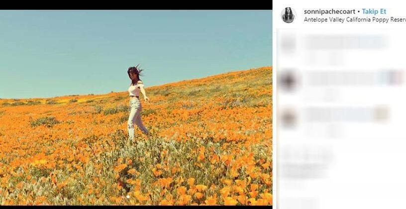 Ağzına silahı soktu ve... - Sayfa 14