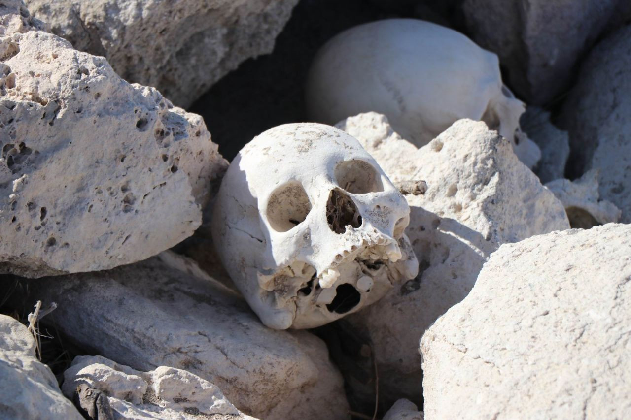 Kayseri'de dehşete düşüren görüntü! - Sayfa 7