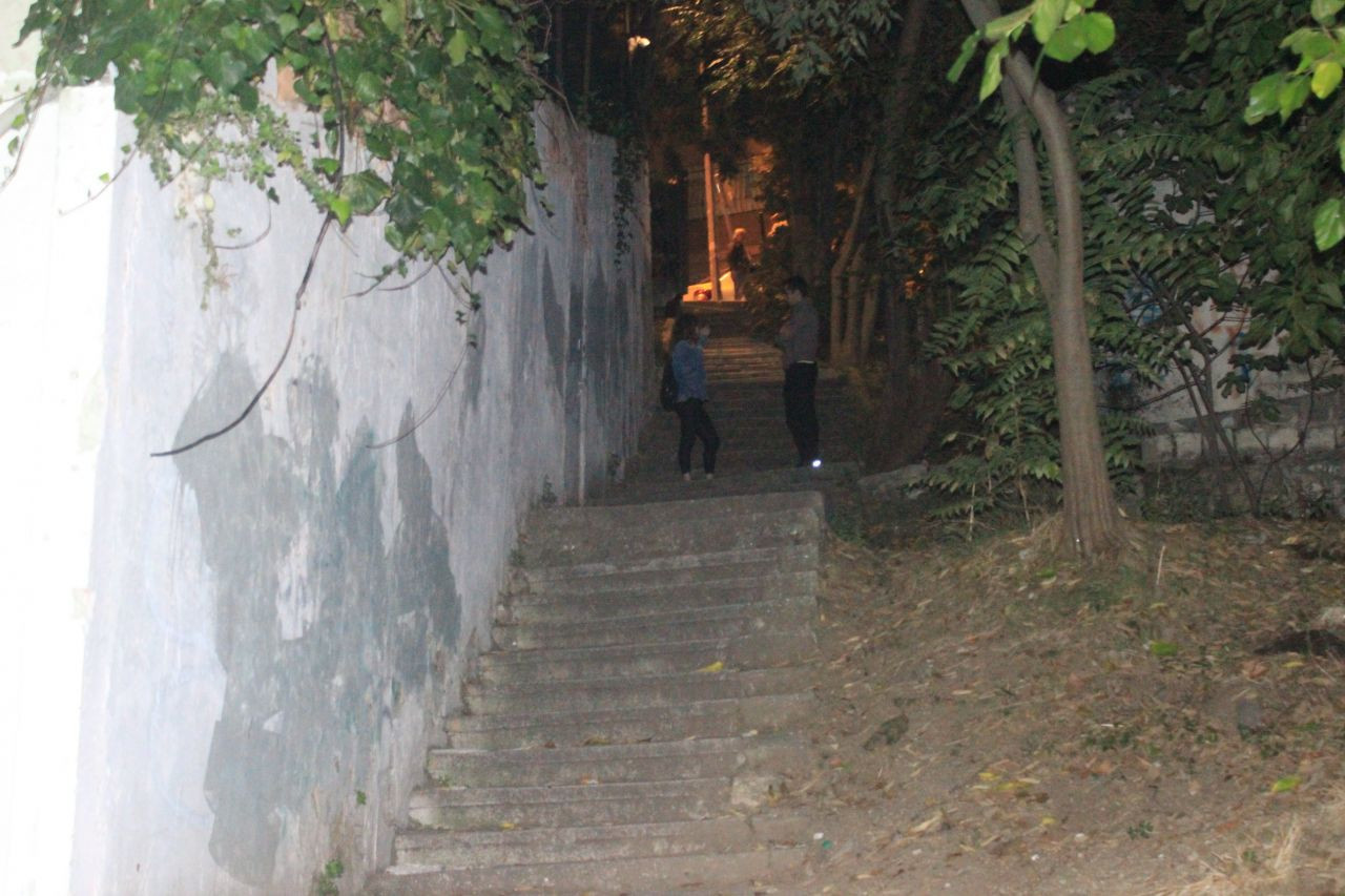 Ağaçlar arasından çıkıp genç kıza dehşeti yaşattı! - Sayfa 10