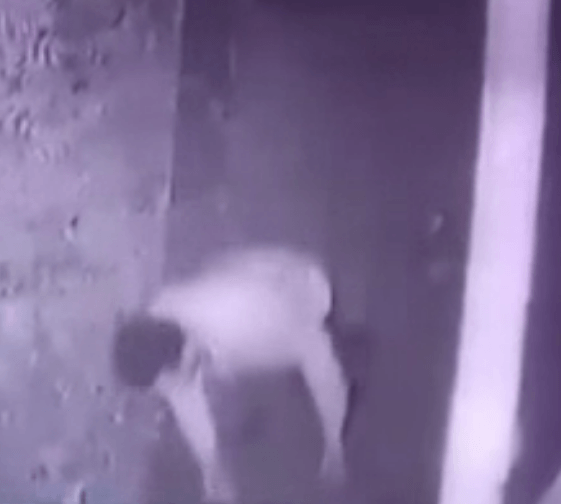 Ağaçlar arasından çıkıp genç kıza dehşeti yaşattı! - Sayfa 5