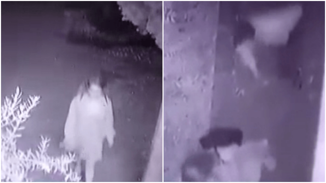 Ağaçlar arasından çıkıp genç kıza dehşeti yaşattı! - Sayfa 6