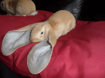 Ufuk açan birbirinden ilginç fotoğraflar! - Sayfa 19