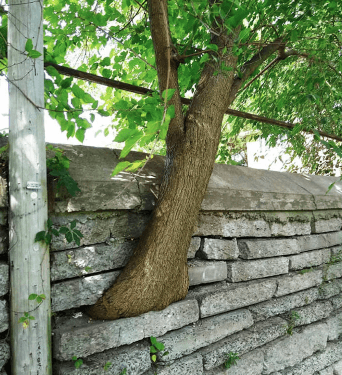 Ufuk açan birbirinden ilginç fotoğraflar! - Sayfa 13