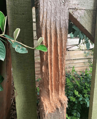 Ufuk açan birbirinden ilginç fotoğraflar! - Sayfa 6