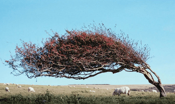 Ufuk açan birbirinden ilginç fotoğraflar! - Sayfa 20