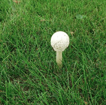 Ufuk açan birbirinden ilginç fotoğraflar! - Sayfa 11