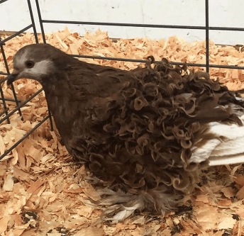 Ufuk açan birbirinden ilginç fotoğraflar! - Sayfa 12