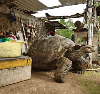 Ufuk açan birbirinden ilginç fotoğraflar! - Sayfa 17