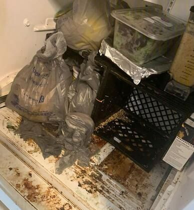 Bir ev 3 çocuk 245 hayvan ve istismar! - Sayfa 11