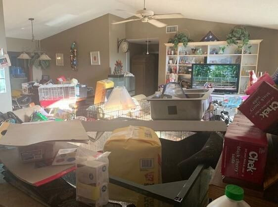 Bir ev 3 çocuk 245 hayvan ve istismar! - Sayfa 6