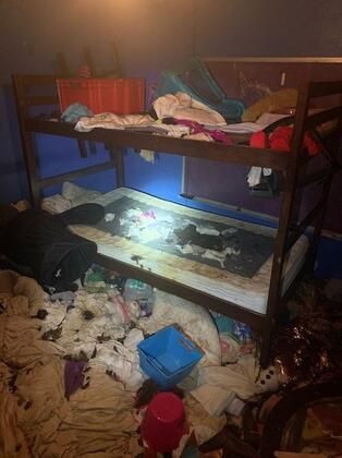 Bir ev 3 çocuk 245 hayvan ve istismar! - Sayfa 8