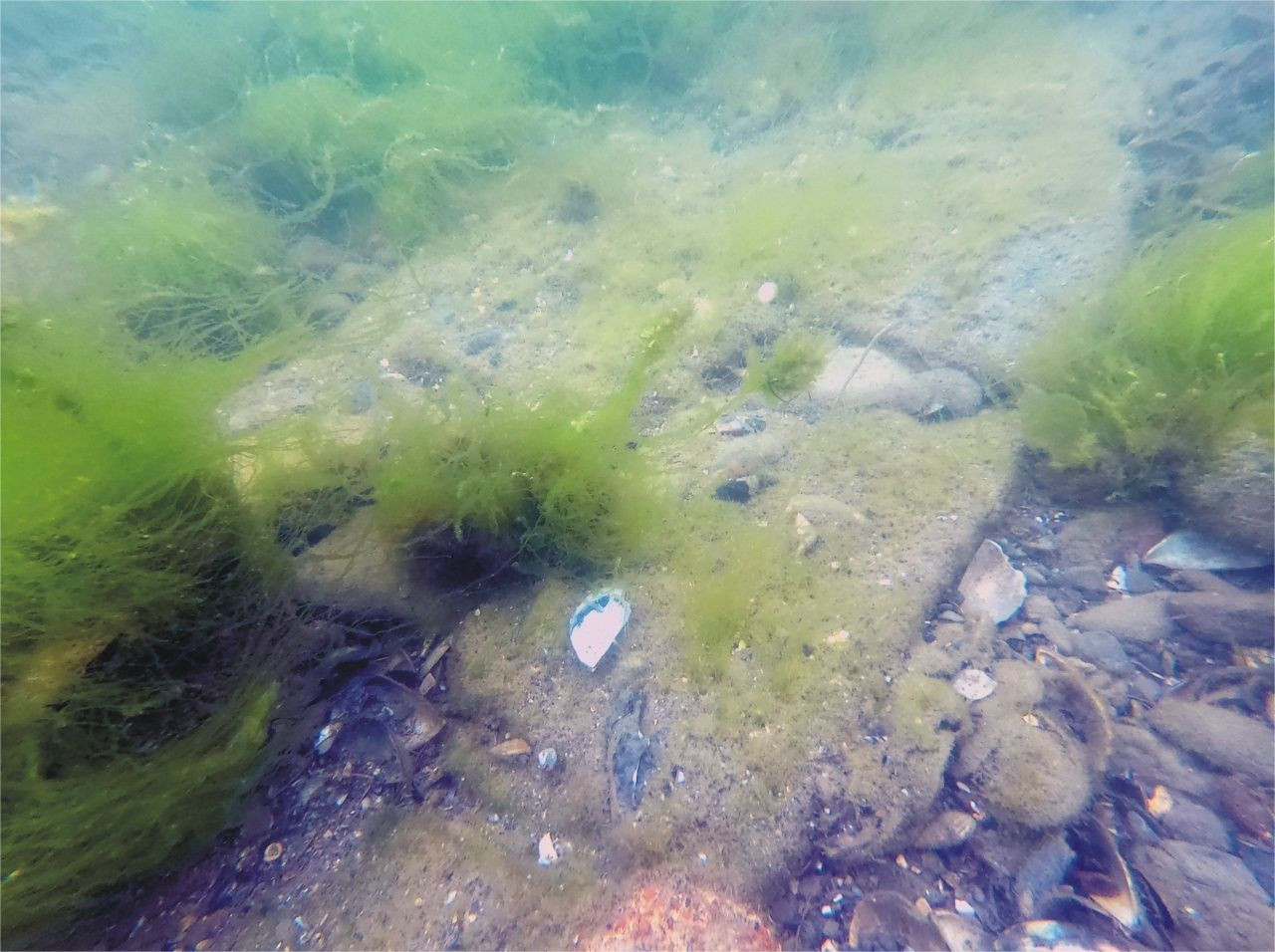 Marmara Denizi'nin dibinde kale bulundu! - Sayfa 5