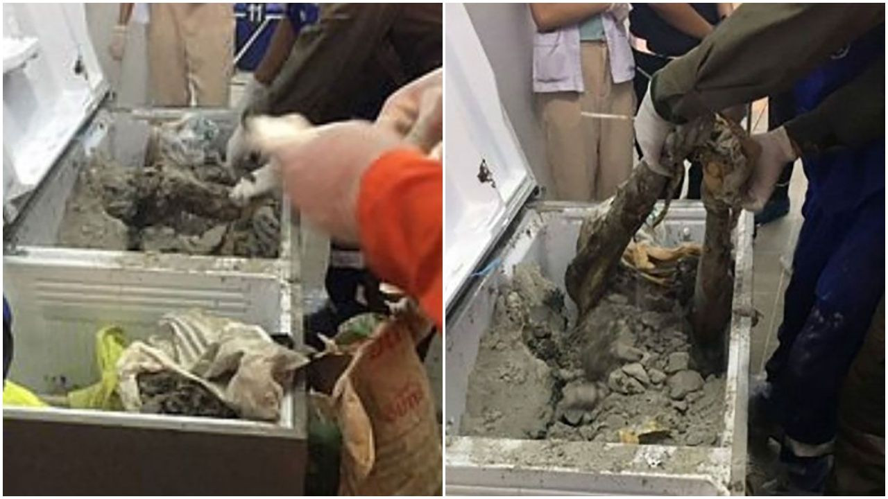 İş kadınının cesedi buzdolabından çıktı! - Sayfa 11