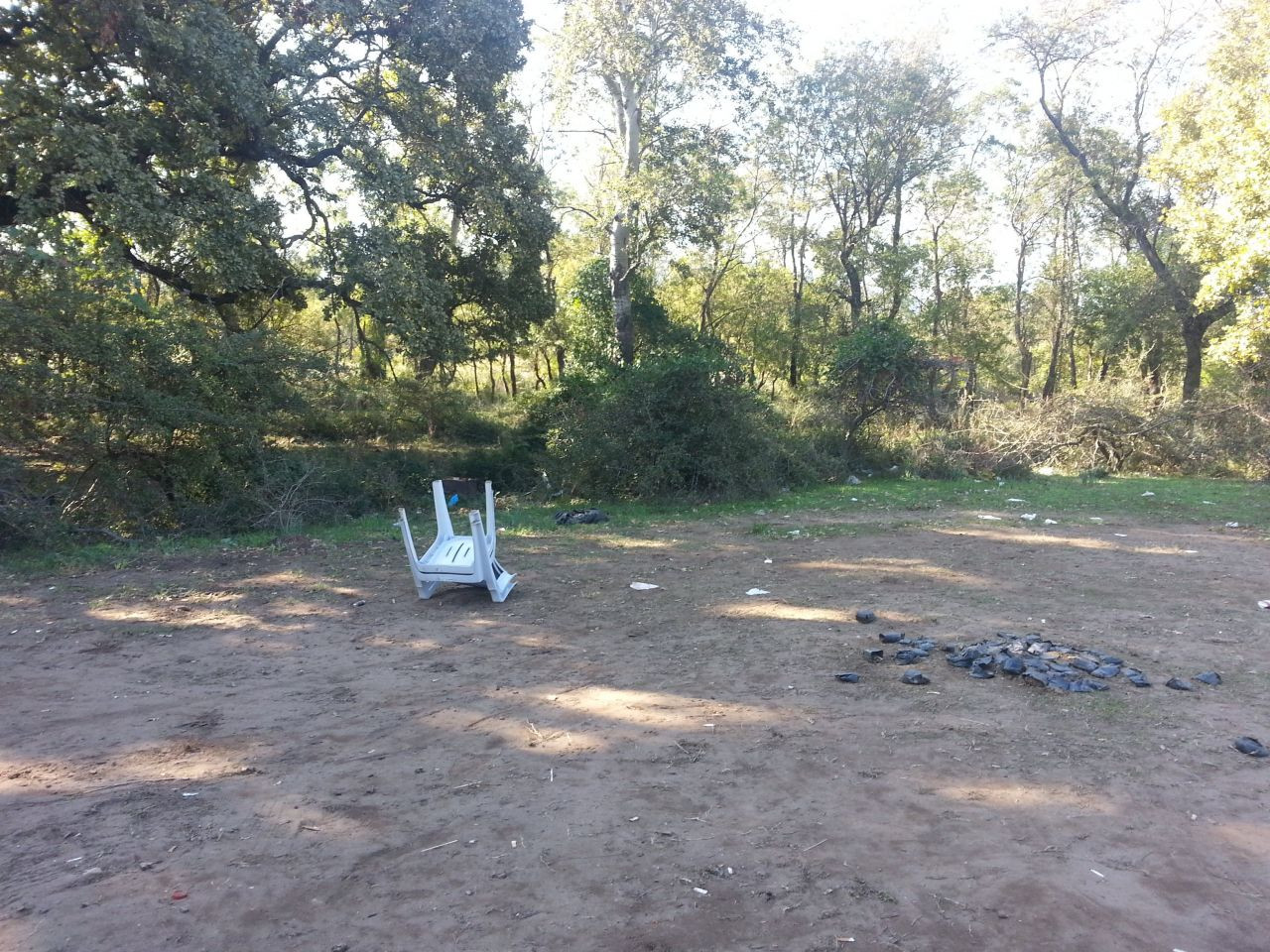 Kaz Dağları'nda Şahan Gökbakar, ormanda Recep İvedik! - Sayfa 5