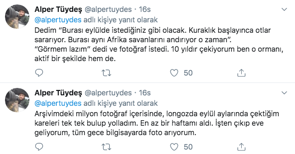 Kaz Dağları'nda Şahan Gökbakar, ormanda Recep İvedik! - Sayfa 14
