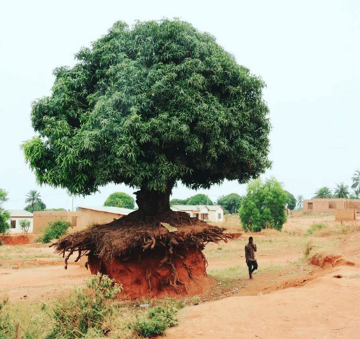 Garipliklerle dolu birbirinden ilginç fotoğraflar! - Sayfa 16