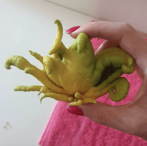 Garipliklerle dolu birbirinden ilginç fotoğraflar! - Sayfa 14