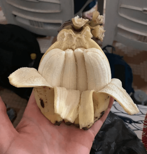 Garipliklerle dolu birbirinden ilginç fotoğraflar! - Sayfa 8