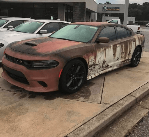 Garipliklerle dolu birbirinden ilginç fotoğraflar! - Sayfa 20