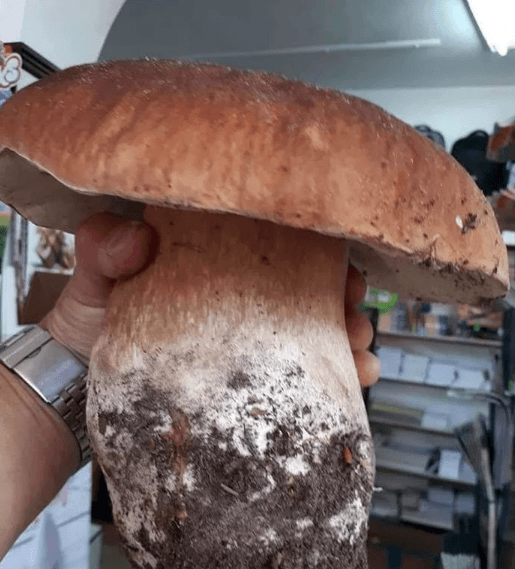 Garipliklerle dolu birbirinden ilginç fotoğraflar! - Sayfa 6