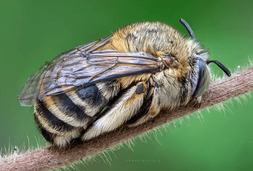 Garipliklerle dolu birbirinden ilginç fotoğraflar! - Sayfa 22